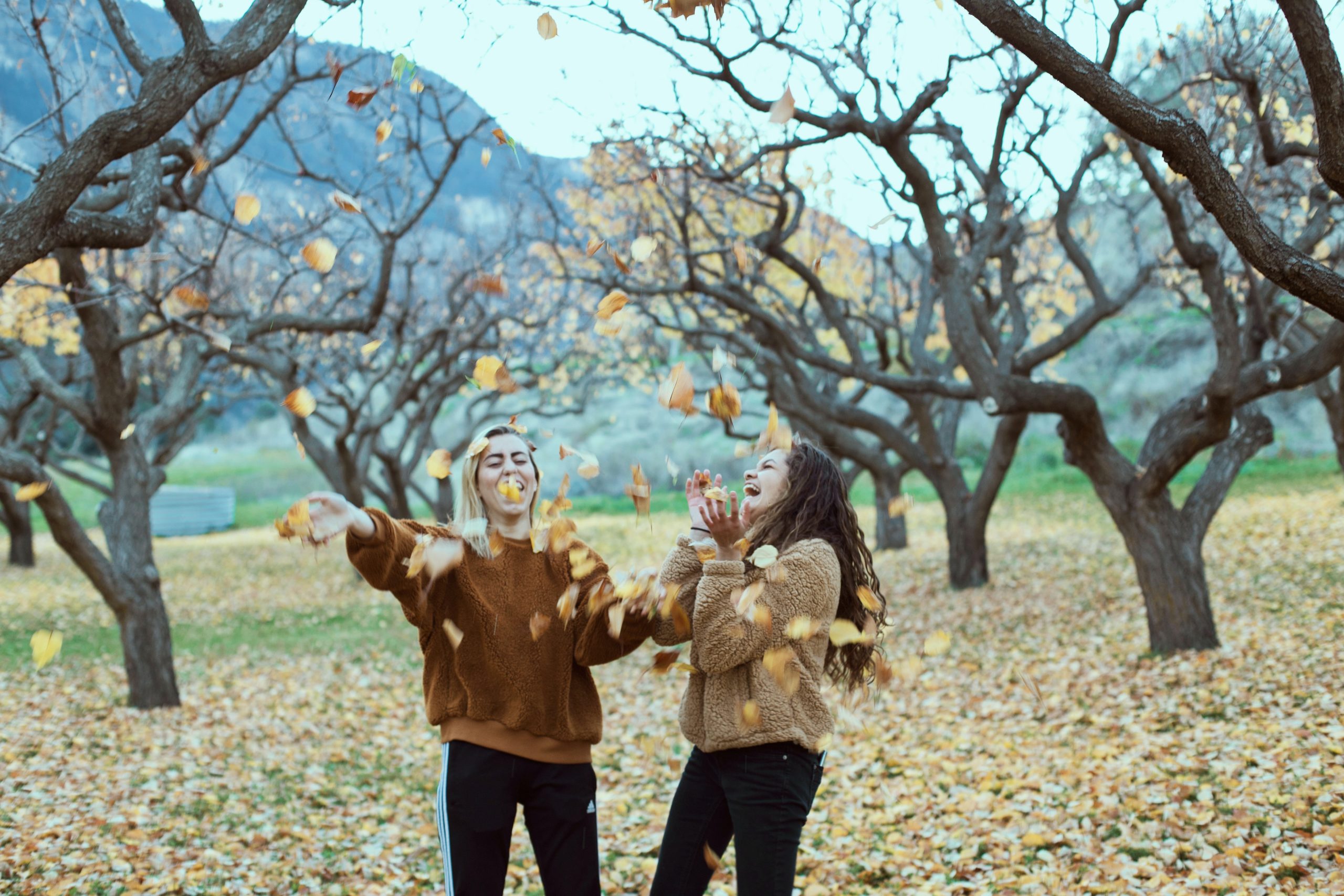 To glade damer kaster løv i luften i en park